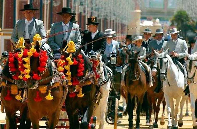 Wifi Plaza Del Caballo *